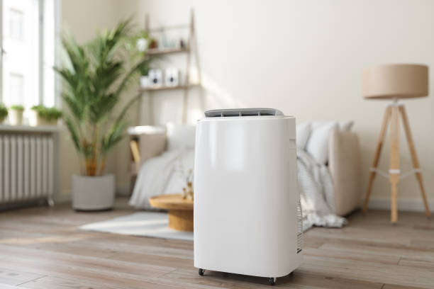 Best Furnace Cleaning in Buena Vista, GA